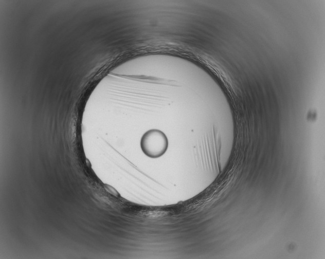 X0000116650501201001111232