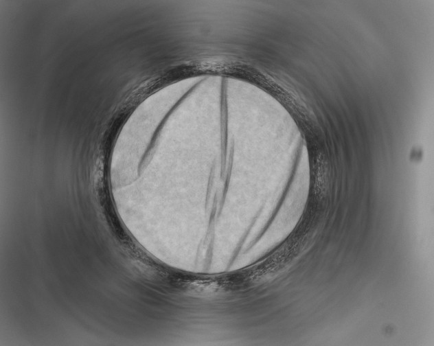 X0000116650502201001111232