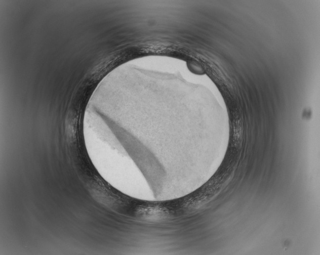 X0000116650503201001111232