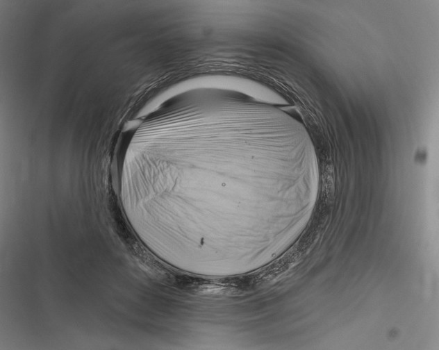 X0000116650504201001111232