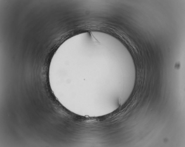 X0000116650505201001111232