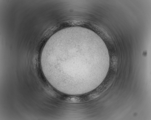 X0000116650506201001111232