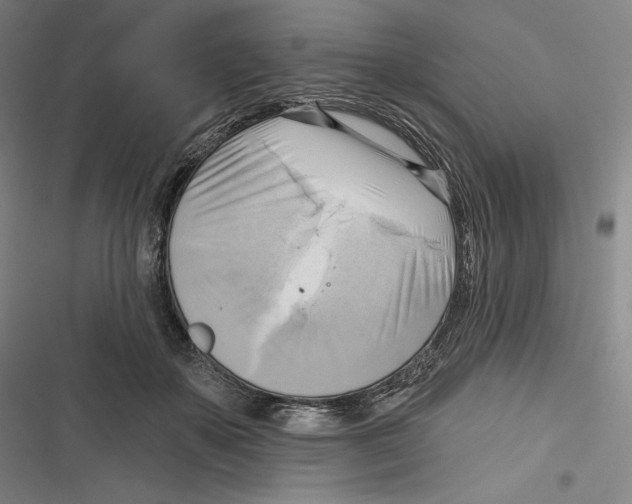 X0000116650507201001111232