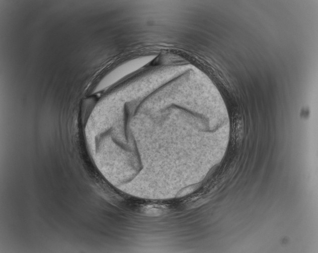 X0000116650508201001111232