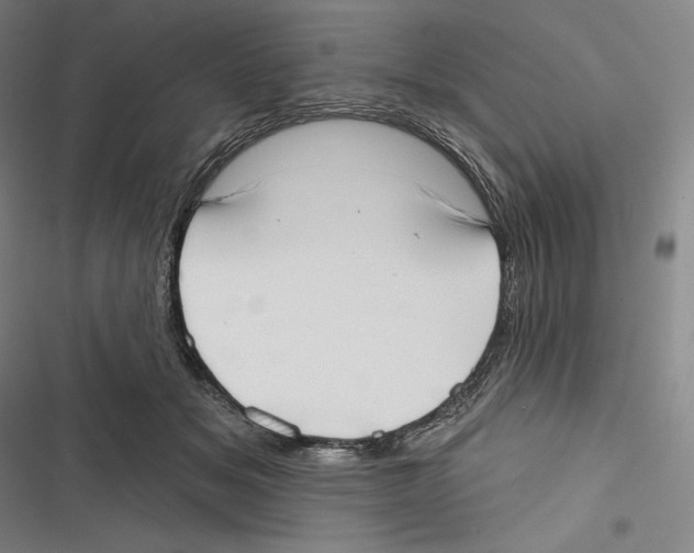 X0000116650509201001111232