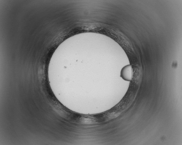 X0000116650510201001111232
