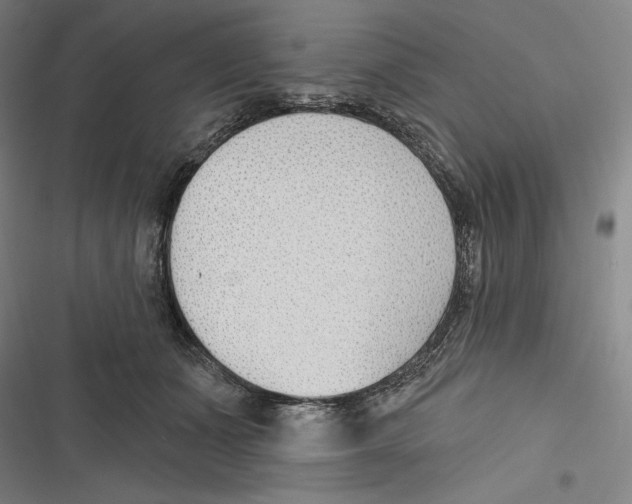 X0000116650511201001111232