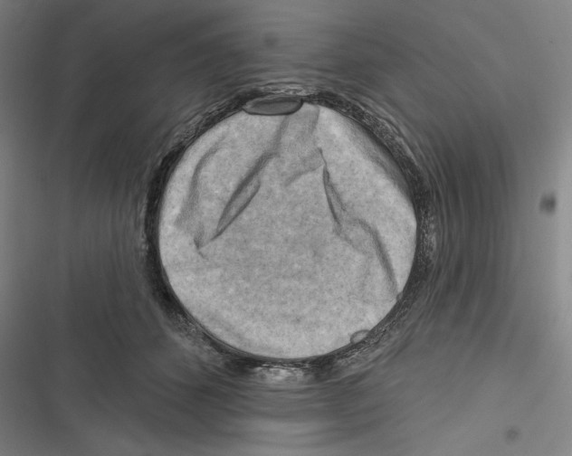 X0000116650512201001111232