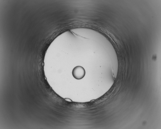 X0000116650513201001111232