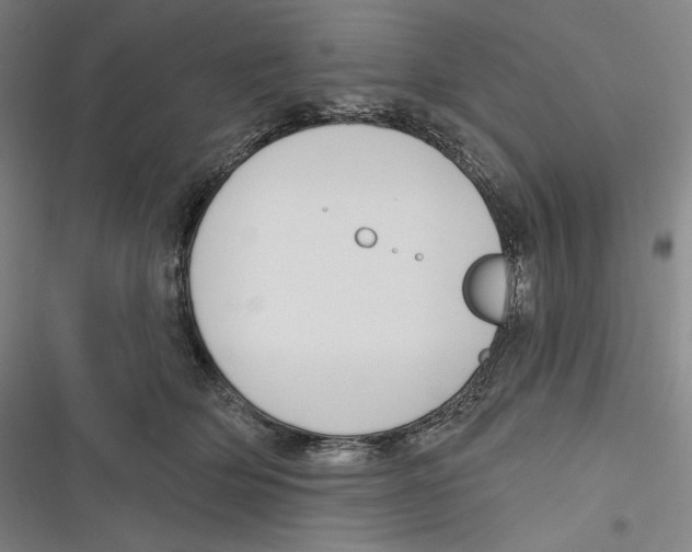 X0000116650514201001111232