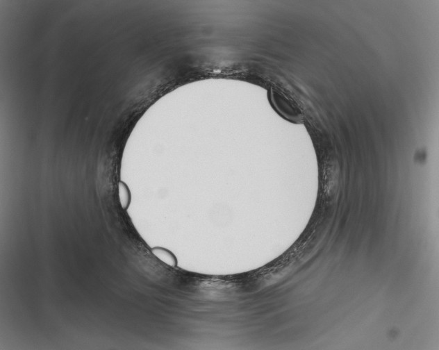 X0000116650515201001111232