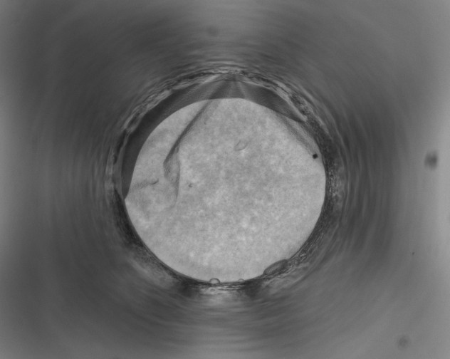 X0000116650516201001111232