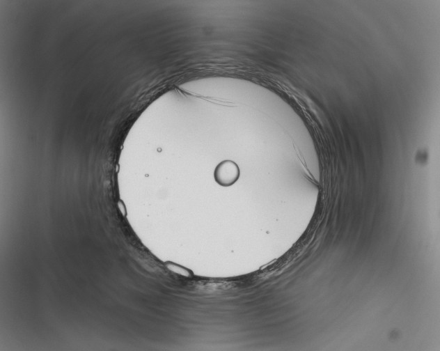 X0000116650517201001111232