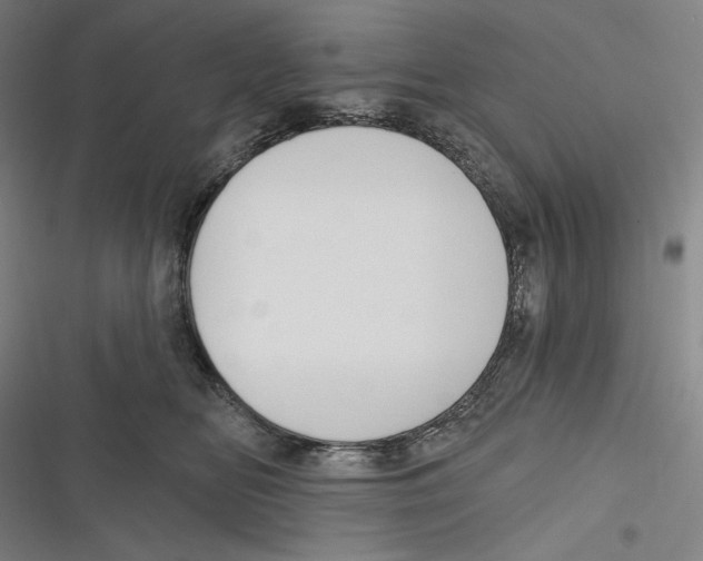 X0000116650518201001111232