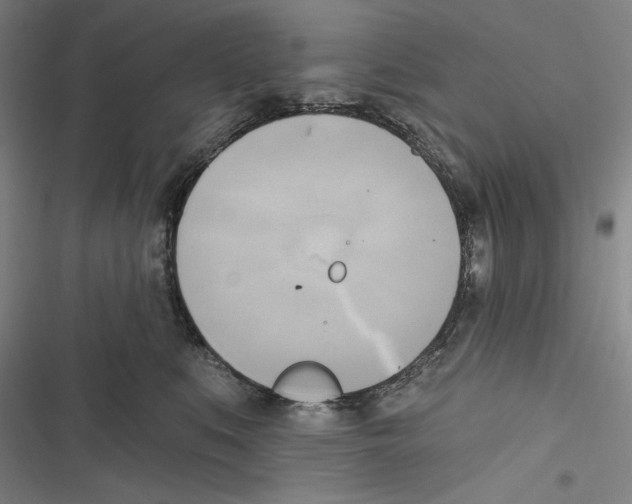 X0000116650519201001111232