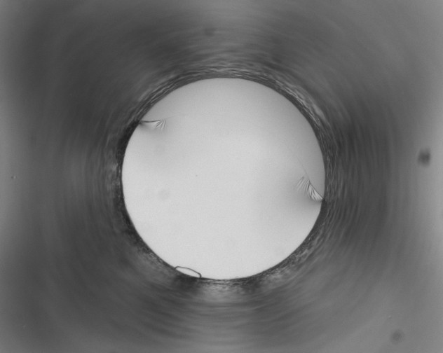 X0000116650521201001111232