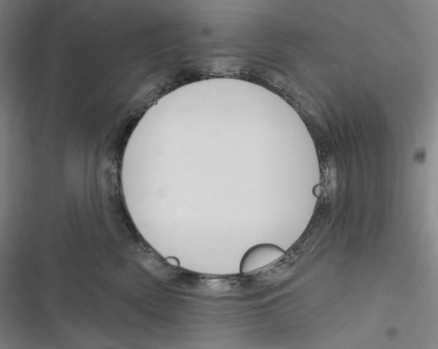 X0000116650522201001111232