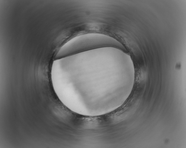 X0000116650524201001111231
