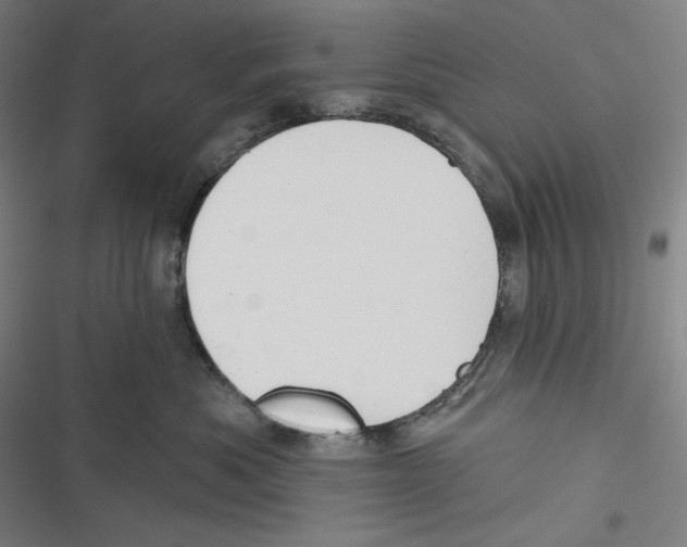 X0000116650525201001111231