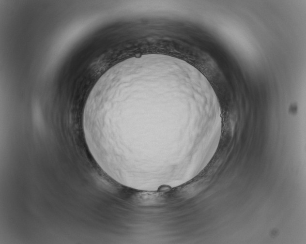 X0000116650526201001111231