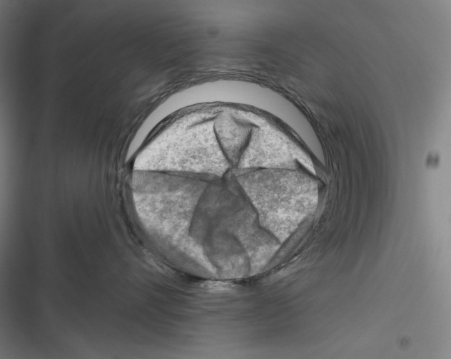 X0000116650528201001111231