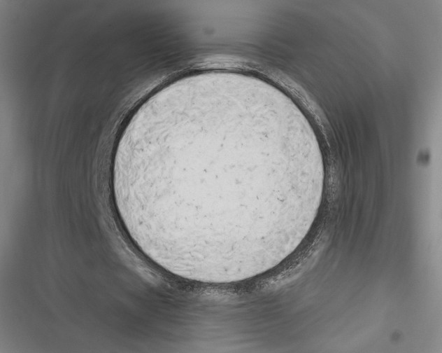 X0000116650529201001111231
