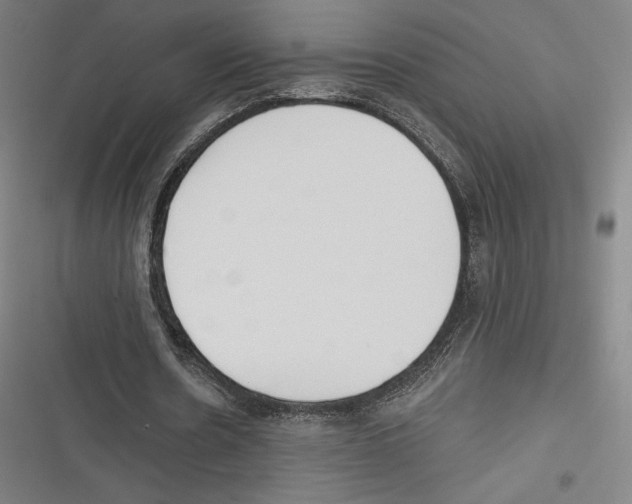 X0000116650530201001111231
