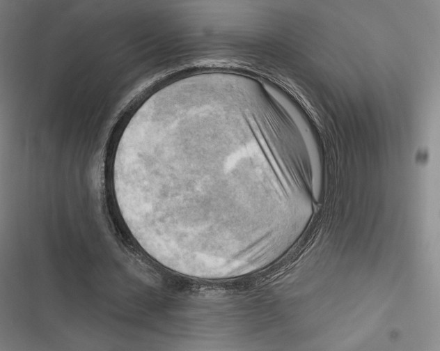 X0000116650531201001111231