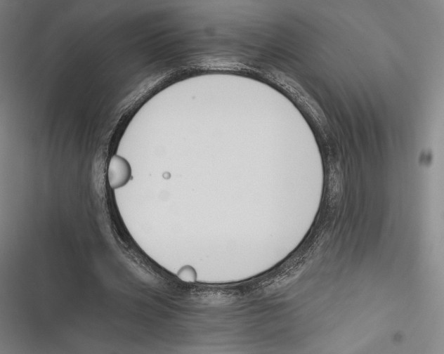 X0000116650533201001111231
