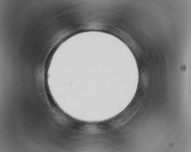 X0000116650534201001111231