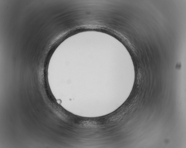 X0000116650535201001111231
