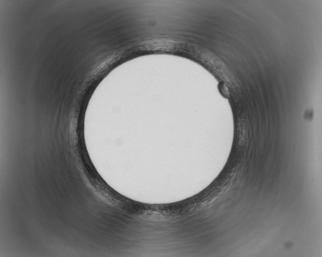 X0000116650538201001111231