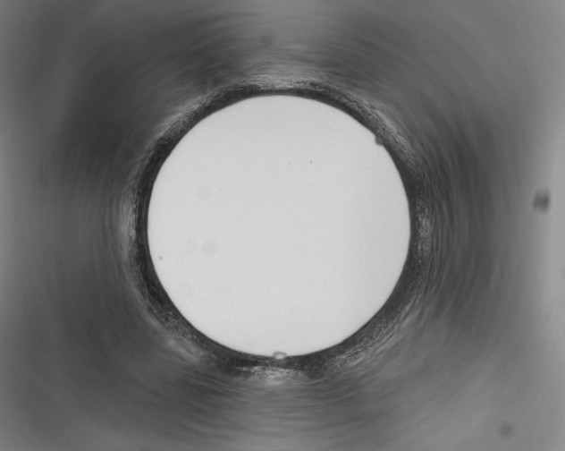 X0000116650539201001111231