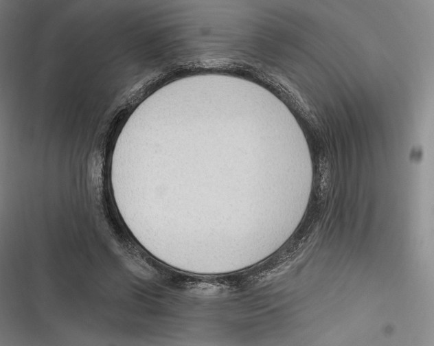X0000116650542201001111231
