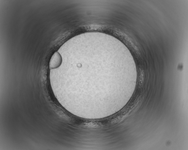 X0000116650545201001111231