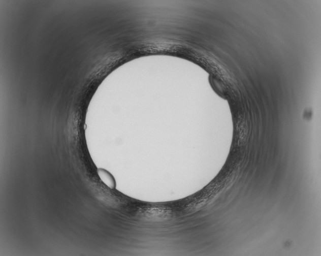 X0000116650546201001111231