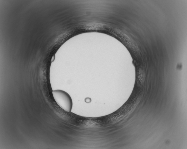 X0000116650547201001111231