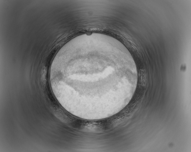 X0000116650550201001111231
