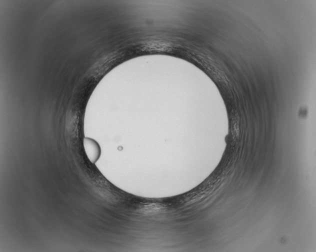 X0000116650551201001111231