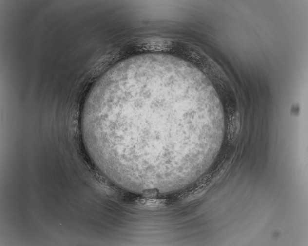 X0000116650553201001111231