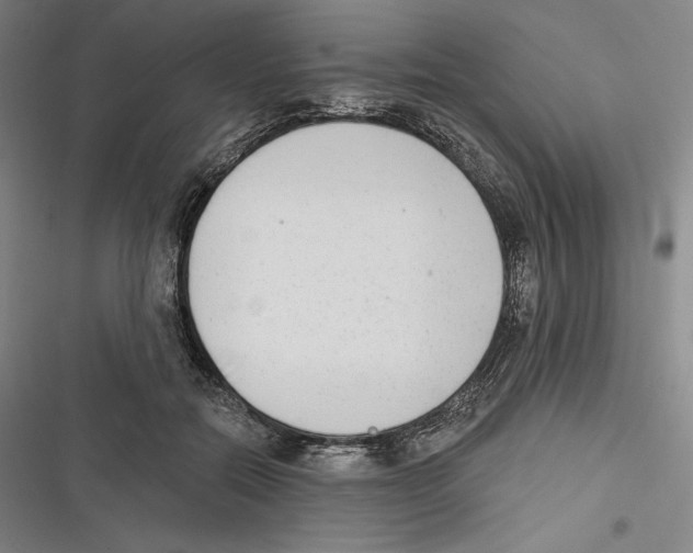X0000116650554201001111231