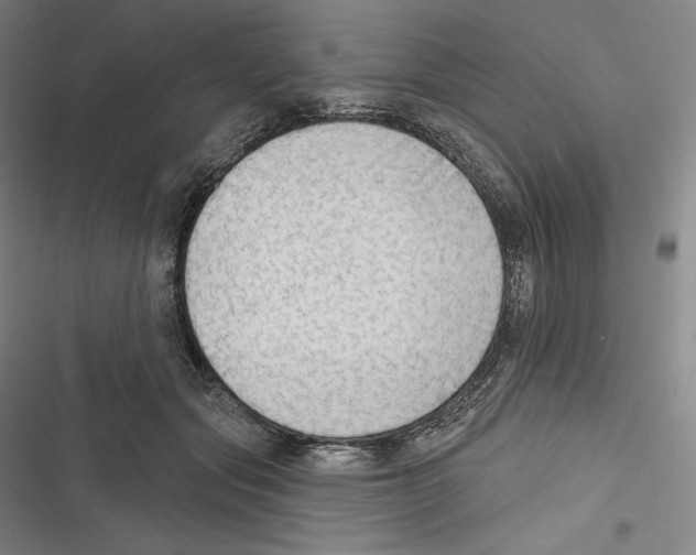 X0000116650557201001111231