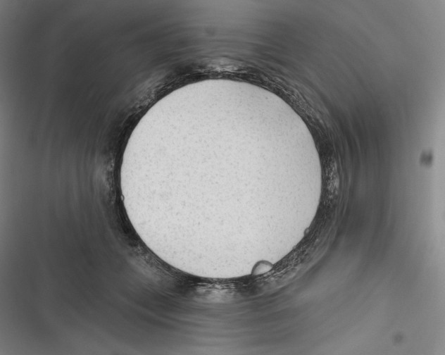 X0000116650559201001111231