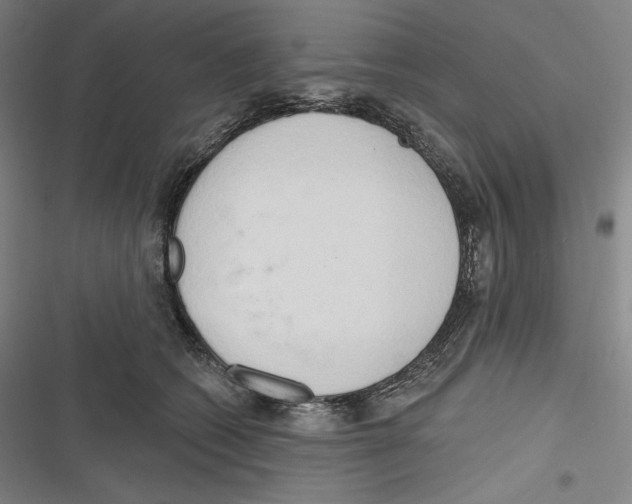 X0000116650562201001111231