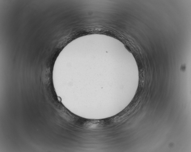 X0000116650563201001111231