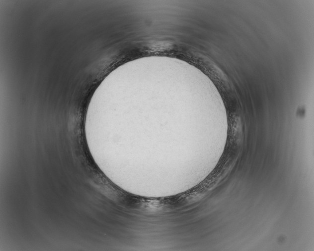 X0000116650565201001111231