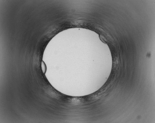 X0000116650566201001111231