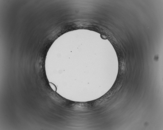 X0000116650567201001111231