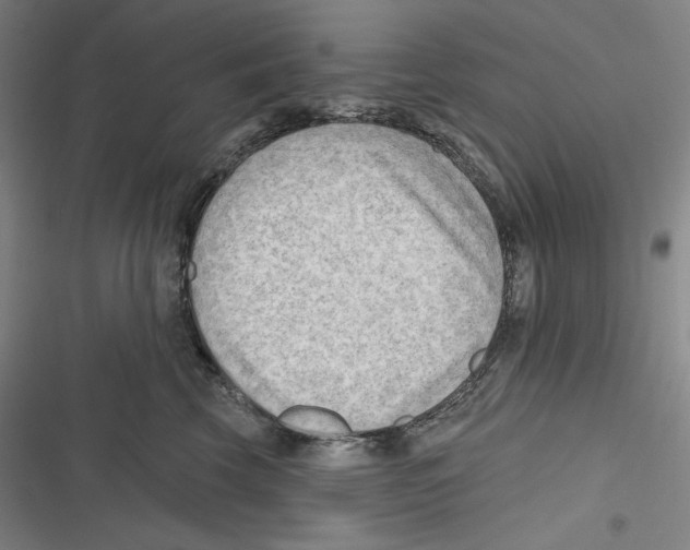X0000116650569201001111231