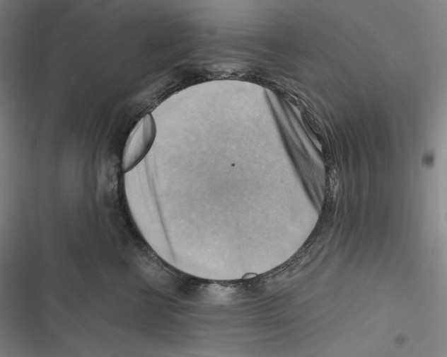 X0000116650570201001111231